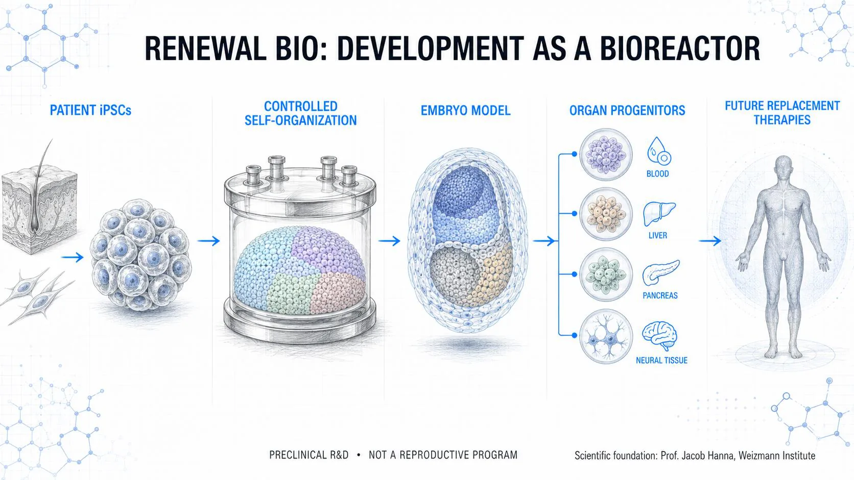 Deck illustration: patient iPSCs, controlled self-organization in a vessel, an embryo model, dishes of organ progenitors for blood, liver, pancreas and neural tissue, and a human outline for future replacement therapies